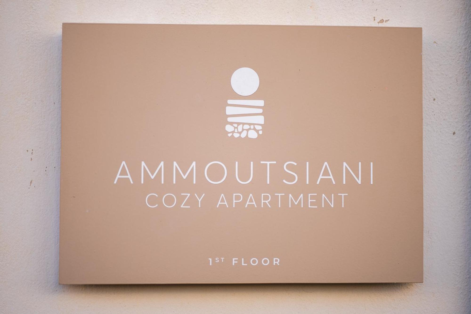 Ammoutsiani 2 Cozy Apartment 干尼亞 外观 照片